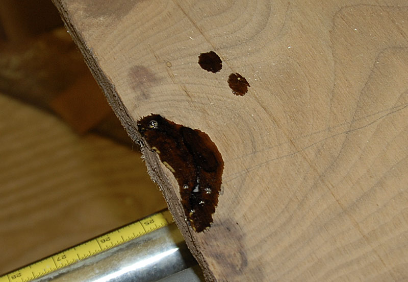 Posted Image, might have been reduced in size. Click Image to view fullscreen. Posted Image, might have been reduced in size. Click Image to view fullscreen.